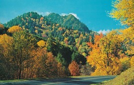 Chimney Tops Fall Colors Great Smoky Mountains National Postcard Posted 1965 - £7.73 GBP