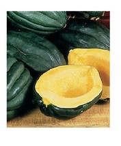 THJAR Table Queen Acorn Squash 10- Seeds Bush Winter Heirloom Beautiful ... - $54.84 MXN