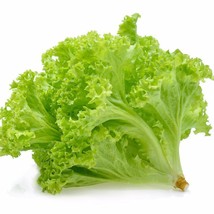 Lettuce Tango For Salad Greens 250 Seeds  From US - £5.11 GBP