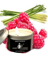 Raspberry Lemongrass Eco Soy Wax Scented Tin Candles, Vegan Friendly Han... - £11.79 GBP+