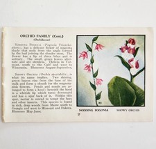 Nodding Pogonia Showy Orchid Flower 1932 Color Plate Print Irving Lawson PGBG21C - $16.24