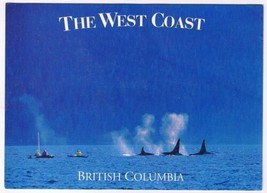 Postcard Orca Killer Whales West Coast British Columbia  4 1/2&quot; x 6 1/2&quot; - £3.15 GBP