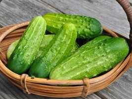 HOT 25 Seeds Easy To Grow Pickling Cucumbers National Pickling Cucks Vegetable - £7.85 GBP