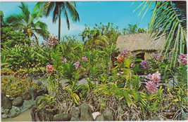 1960&#39;s Postcard KONG&#39;S FORALEIGH GARDENS Hilo Hawaii ORCHID GARDENS - £2.33 GBP