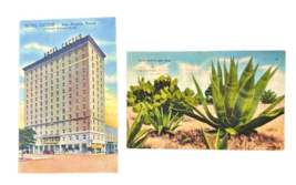 2 Postcards Texas Sotol Prickly Pair Cacti and Hotel Cactus San Antonio ... - £3.82 GBP