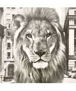 1966 Dreyfus Fund Zamba MGM Lion Advertisement Investments Financial DWII31 - $234.75 MXN