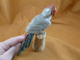 (Y-BIR-PA-418) song PARROT gray red Macaw bird gemstone STONE GEM carvin... - £22.34 GBP