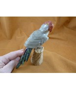 (Y-BIR-PA-418) song PARROT gray red Macaw bird gemstone STONE GEM carvin... - £20.95 GBP