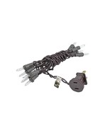 10 Light 5.5 Ft Brown Wire Clear Mini Lights - $205.63 MXN