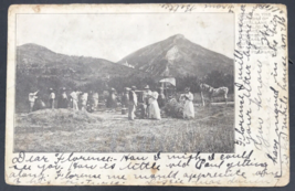 1906 Castellane France Alps Distilling Oil Lavender For Perfume Postcard - $9.49