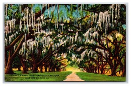 La Ronde Oaks Versailles Plantation New Orleans Louisiana UNP Linen Postcard Y6 - £3.12 GBP