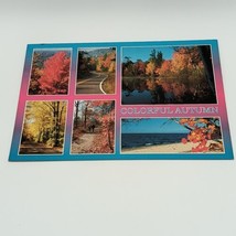 Postcard Michigan&#39;s Fall Season Autumn Colorful leaves Tress Naure Multi... - £3.04 GBP