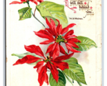 Christmas Greetings Poinsettia Whitman Verse Raphael Tuck 301 UNP Postca... - $3.91