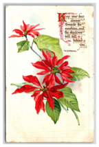 Christmas Greetings Poinsettia Whitman Verse Raphael Tuck 301 UNP Postcard O18 - £3.06 GBP