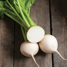 White Detroit Beets Seeds Container Vegetable Seeds Seeds Non-Gmo Gardening Fres - £8.64 GBP