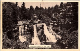Vintage Postcard Blackwater Falls State Park Davis West Virginia Waterfa... - $5.99