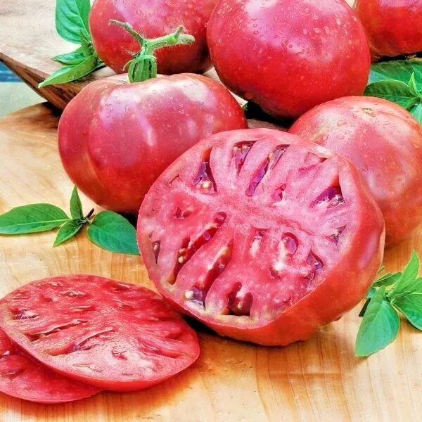 50 CHEROKEE TOMATO Seeds Organic Native Heirloom Garden - $91.07 MXN
