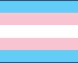 NEOPlex Transgender Pride Traditional Flag - $4.88