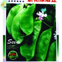 New Fresh Jinke Green Hyacinth Bean Organic Seeds 15 Seeds Pack With Purple Flow - £3.97 GBP