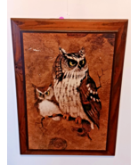 Vintage Barn Owl Wood Framed Picture Print Wall Art Hanging Richard Screech - $527.41 MXN
