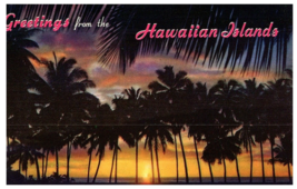 Greetings from Hawaii Sunset through the Palms Postcard - £4.70 GBP