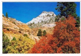 Utah Postcard Checkerboard Mesa Zion National Park - £1.71 GBP