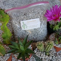 Cacti 2 Quarts 1/4 Horticultural Cactus Succulent Bonsai Pumice Soil cactus - £35.47 GBP