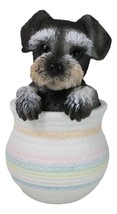 Adorable Grey Mini Schnauzer Puppy Dog Figurine With Glass Eyes Pup In Pot - £19.76 GBP