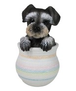 Adorable Grey Mini Schnauzer Puppy Dog Figurine With Glass Eyes Pup In Pot - $24.99