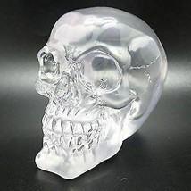 Translucent Clear Skull Gothic Halloween Decor 3.5 Inches Tall - £18.18 GBP