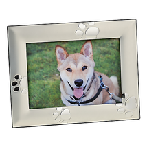 Paw Print Brushed Metal 4X6 Photo Frame - £20.81 GBP