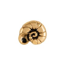 Origami Owl Charm (New) Nautilus Shell Gold -( CH3255) - £6.95 GBP