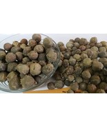 MANJAKANI OAK GALLS 100 gram -250 gram DRIED Majuphal Quercus Infectoria... - $19.50