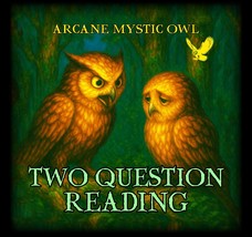 Two Question Reading-Spiritual Answer Within 12 Hours - $35.00
