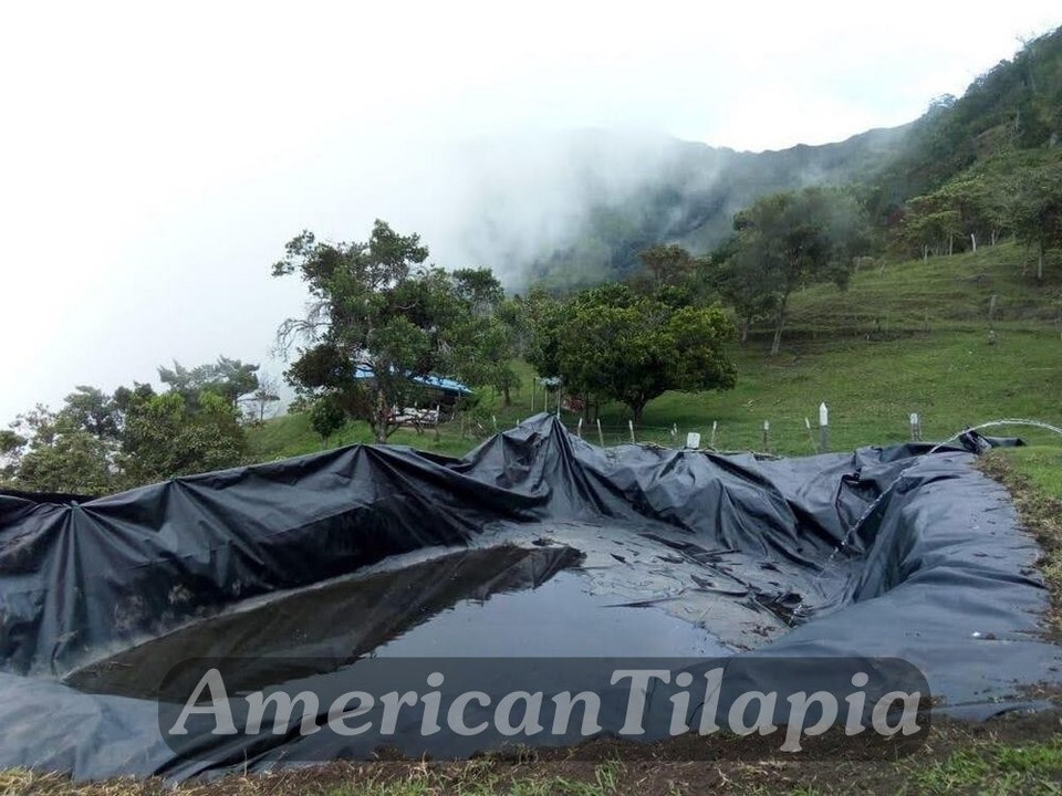 Pond liner 30 mill 20x25 Durable,Fish-plants pond,available,HDRPE,Free Shipping! Item image 9