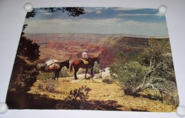 Grand Canyon Vista Lithograph Print No. 23A Vintage Litho In U.S.A 16&quot;X20&quot; - £31.96 GBP