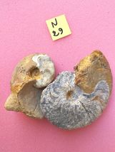 Item image 13
