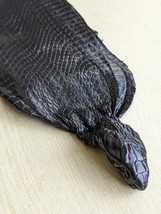 Black Cobra Snake Skin with Head Snakeskin Taxidermy Hide Leather Craft ... - $371.19 MXN+