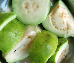 GUAVA tropical fruit Psidium guajava exotic tree edible guayaba 15 SEEDS -WHITE- - £7.29 GBP