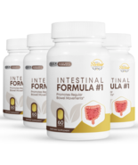 4 Pack Intestinal Formula #1, promotes regular bowel movements-60 Capule... - $126.71