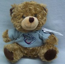 Lehigh Valley Iron Pigs TEDDY BEAR IN SWEATSHIRT 8&quot; Plush STUFFED ANIMAL... - $348.80 MXN