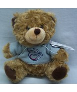 Lehigh Valley Iron Pigs TEDDY BEAR IN SWEATSHIRT 8&quot; Plush STUFFED ANIMAL... - $348.20 MXN