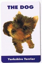 Trade Card Dog Calendar Card 2003 The Dog Yorkshire Terrier - $1.97