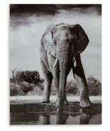 Glinyard - Black / White - Wall Art - $167.82