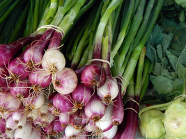 100 Scarlet Bandit Bunching Onion Red Allium Cepa Vegetable Seeds USA Fast Shipp - $18.00