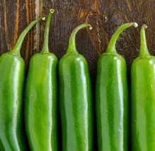 Serrano Hot Pepper Seeds Chili Seco Verde Chile Mexican Vegetable Seed  - £4.75 GBP