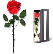 Mothers Day Rose Flower Gifts for Mom from Daughter and Son, Mom Gifts for Grand - £14.33 GBP