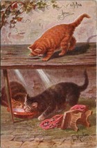 TR Rosler 3 Cats Kittens Drinking Peek Through Hole of Table Postcard X14 - £15.38 GBP