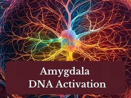 Amygdala DNA Activation - £25.57 GBP