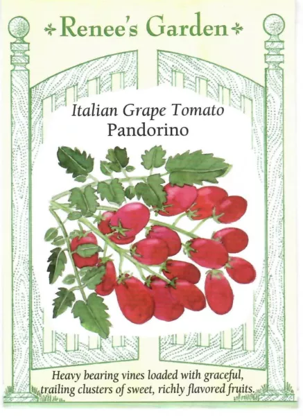 Tomato Italian Grape Padorino Heirloom Vegetable Seeds Fresh Garden - £8.81 GBP